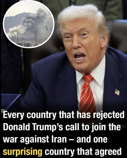 Every country that has rejected Donald Trump’s call to join the war against Iran – and one surprising country that agreed