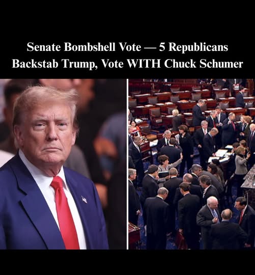 GOP Senators Join Dems To Reject Trump’s Tariffs On Brazil…#