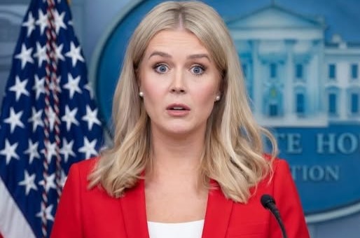 FEMA Boss Fired After Remarks To Congress