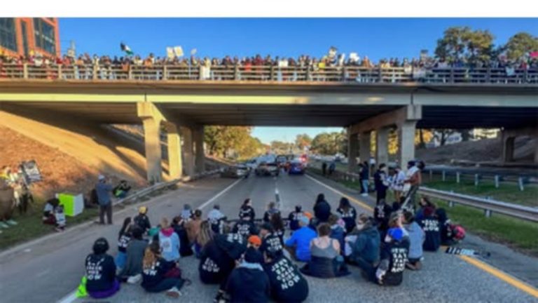 Florida Law Addresses Roadway Obstruction Protests
