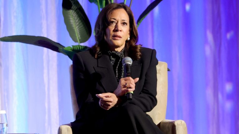 DNC 2024 election postmortem report
