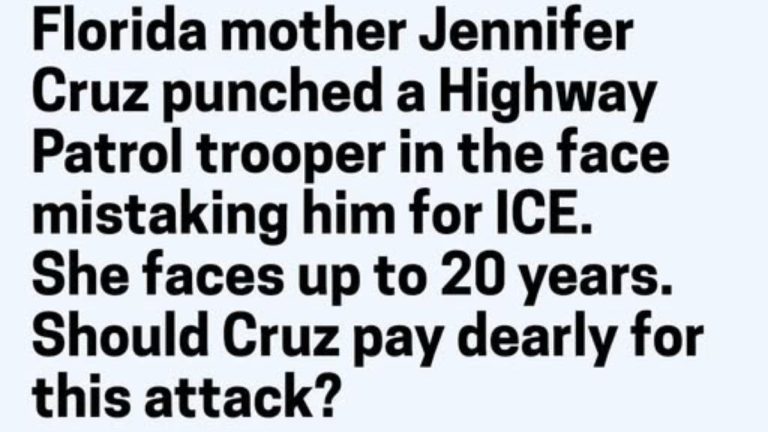 Florida mother Jennifer Cruz punched highway patrol trooper in face mistaking him for ICE agent